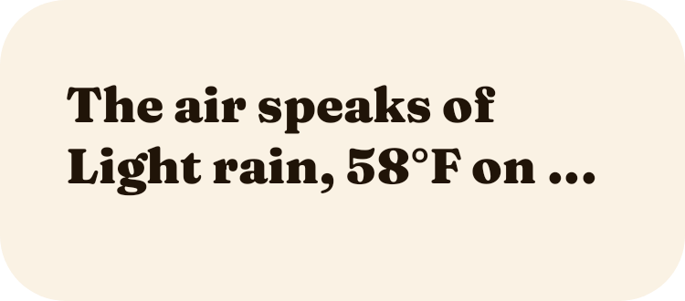 Weather in Words in Autumn Film