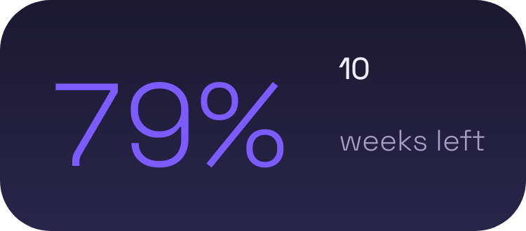Year Progress widget preview
