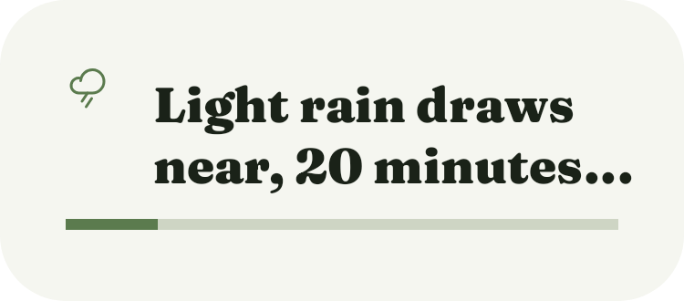 Rain Soon in Botanic