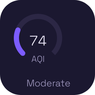 Environment widget preview