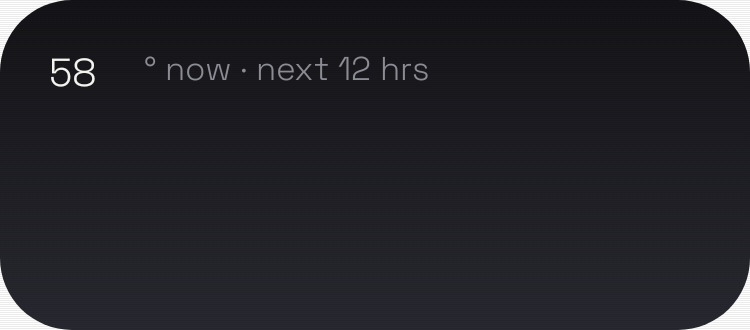 Hourly Forecast in Neon Tokyo