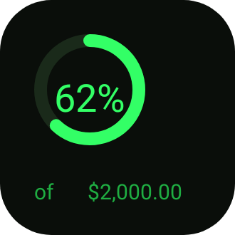 Budget Ring in Terminal