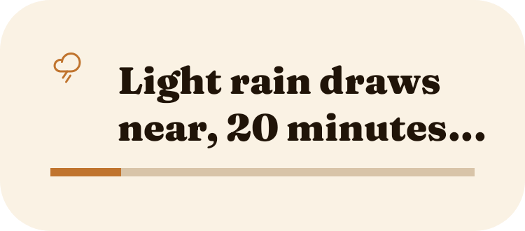 Rain Soon in Autumn Film