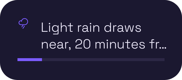 Rain Soon widget preview
