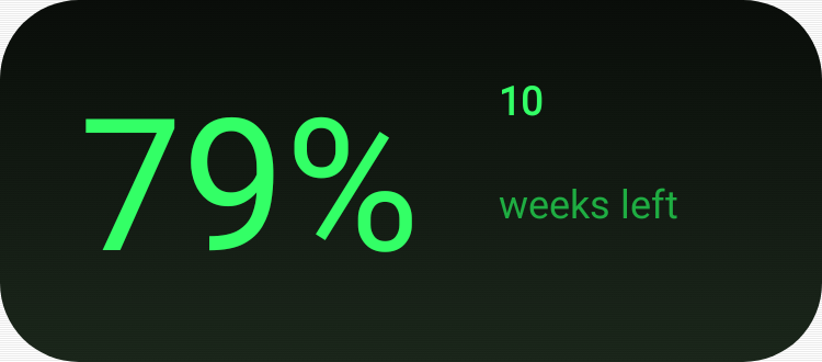 Year Progress in Terminal