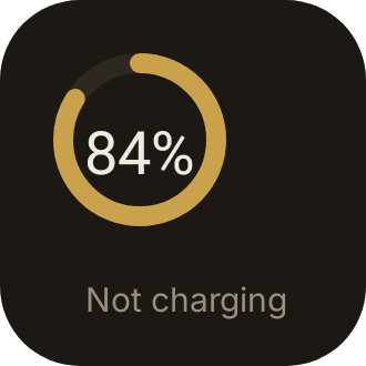Battery Ring in Luxe